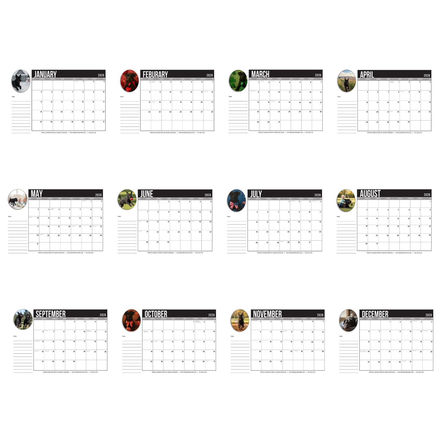 2026 Schnauzer Desktop Calendar – Large 19"x13" Monthly Planner Pad with Cute Dog Photography, Notes and Holidays