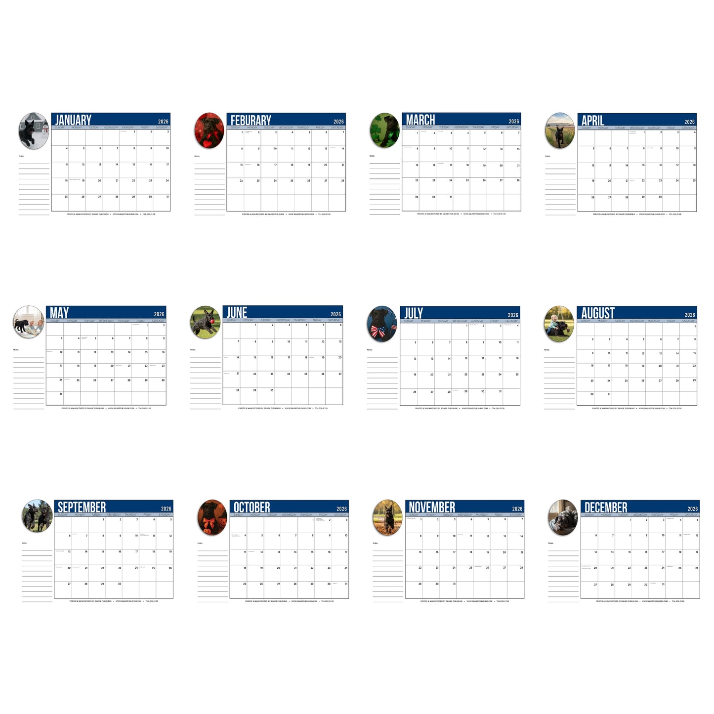 2026 Schnauzer Desktop Calendar – Large 19"x13" Monthly Planner Pad with Cute Dog Photography, Notes and Holidays